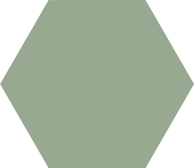 HEXAGON GRIJS GROEN LICHT 250926