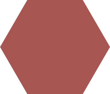 HEXAGON ROSEBRUIN 251008